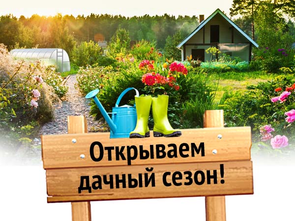 Готовимся к дачному сезону вместе